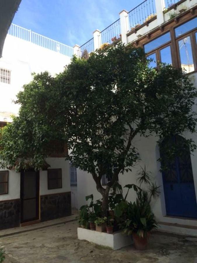 Apartmán Atico Atlantico Con Aparcamiento Privado Vejer de la Frontera Exteriér fotografie
